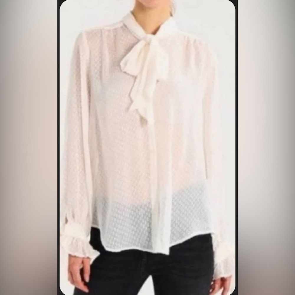 Banana Republic Sheer Blue Button Up Tie Neck & LS silky Blouse